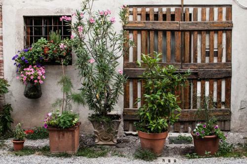 Bed & Breakfast Buonocore Guesthouse