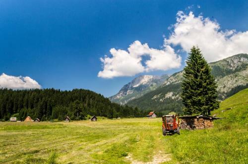 Apartamento Residence Cavanis Wellness & Spa