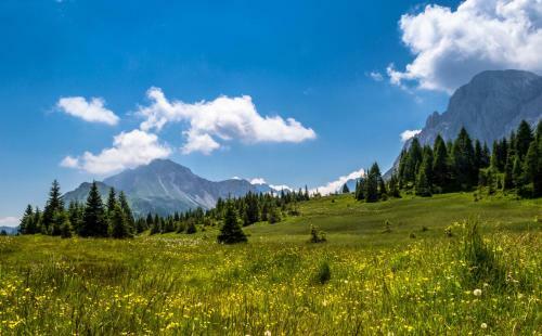 Apartamento Residence Cavanis Wellness & Spa