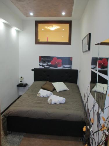 Apartamento Appartamento Tulipano Rosa