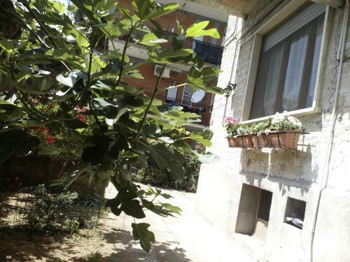 Apartamento B&B A Casa Di Nonna