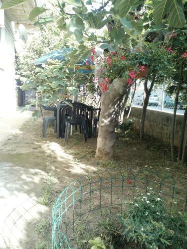 Apartamento B&B A Casa Di Nonna