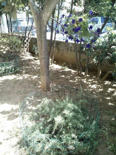 Apartamento B&B A Casa Di Nonna