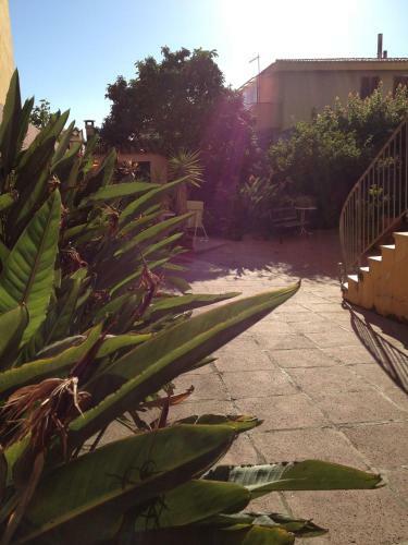 Bed&breakfast Ciro's House