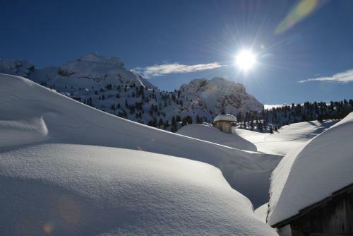 Alpine Hotel Gran Foda'