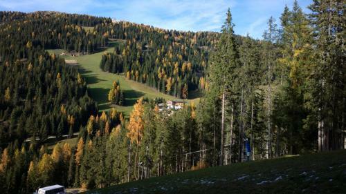 Alpine Hotel Gran Foda'