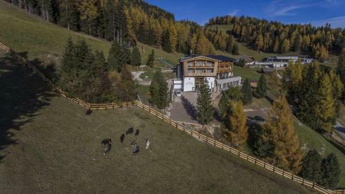 Alpine Hotel Gran Foda'