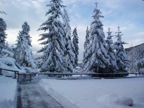 Apartamento Monolocali Alberti - Des Alpes