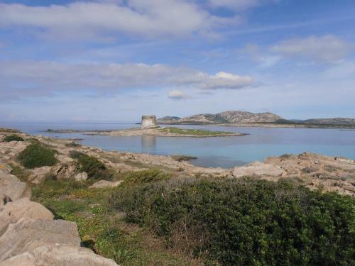 Bed & Breakfast La Dea Madre