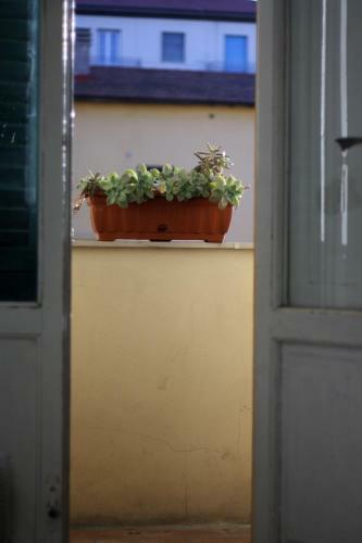 Hostal A Due Passi Dal Treno Affittacamere