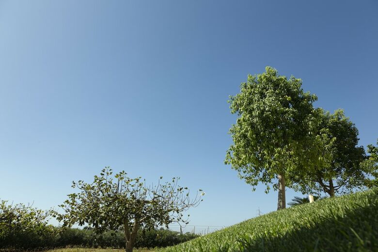 Agroturismo Podere40 Country Hotel