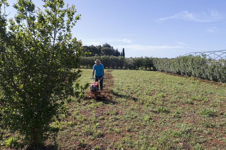 Agroturismo Podere40 Country Hotel