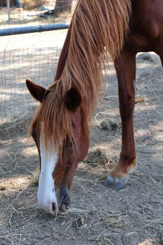 Agroturismo La Casa Colonica