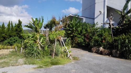 Hostal Pension Crystal Inn Onna