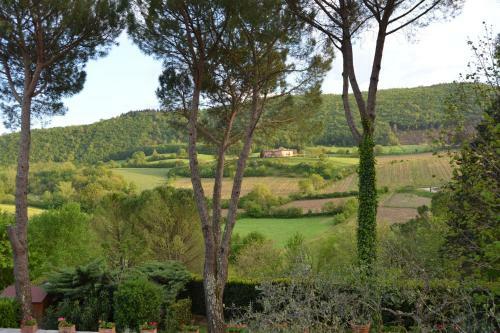 B&B Villa Il Poggiolino