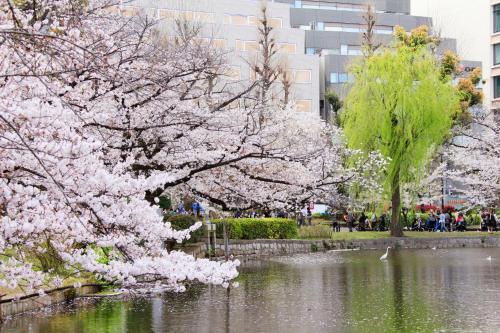 Centurion Ladies Hostel Ueno Park (female Only)