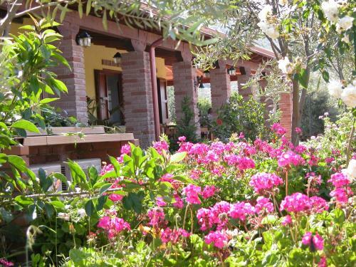 Agroturismo Agriturismo Sa Tiria