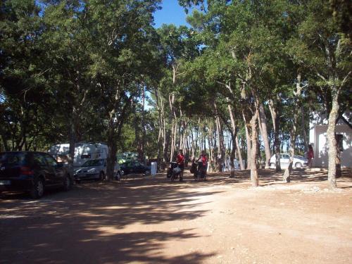 Villaggio Camping Bosco Selva