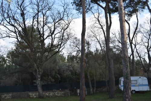 Villaggio Camping Bosco Selva