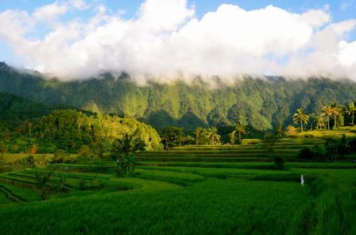 Bed & Breakfast The Kubu Galungan