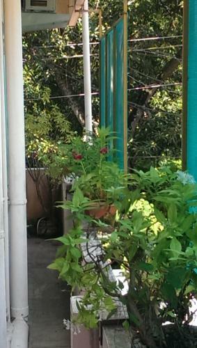 Crystalica Home Stay