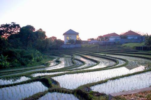 Albergue Point Break Canggu