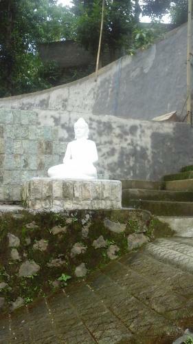 Hostal Lotus Guesthouse