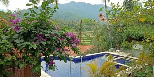 Hostal Lotus Guesthouse