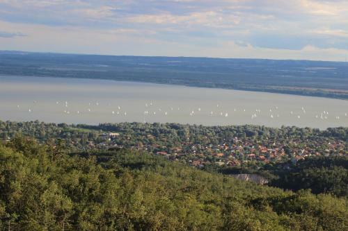 Hostal Balaton White House
