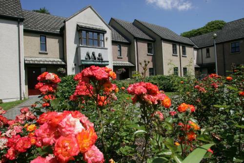 Hostal Brennan Court Guest Accommodation