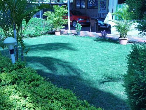 Hostal Avelina Guest House