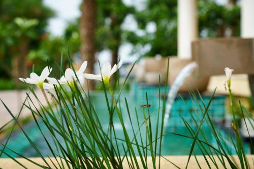 Hotel The Westin Pushkar Resort & Spa