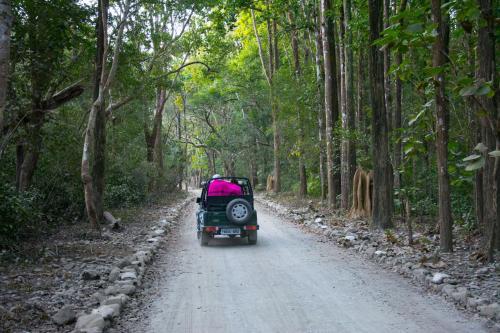Hotel Corbett The Baagh Spa & Resort