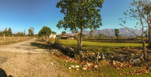 Hotel Corbett The Baagh Spa & Resort