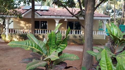 Hill Top Lodge