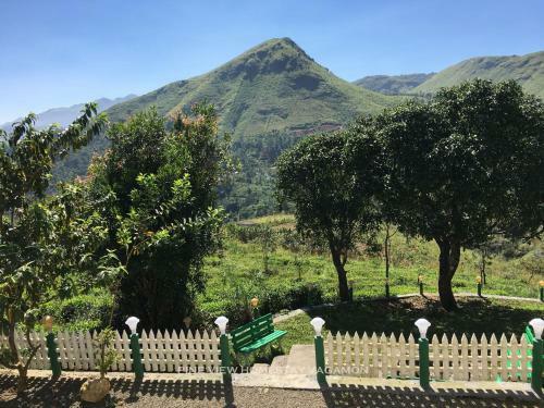 Pine View Homestay