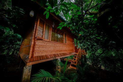 Hotel Bamboo Creek Resort