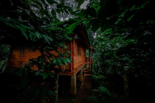 Hotel Bamboo Creek Resort