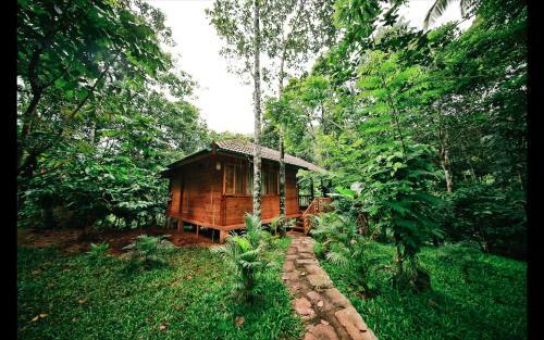 Hotel Bamboo Creek Resort