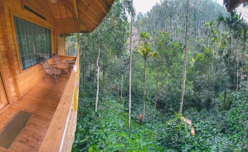 Hotel Bamboo Creek Resort