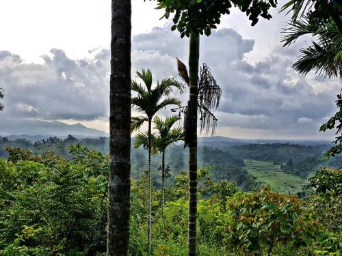 Hotel Bamboo Creek Resort