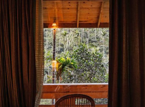 Hotel Bamboo Creek Resort