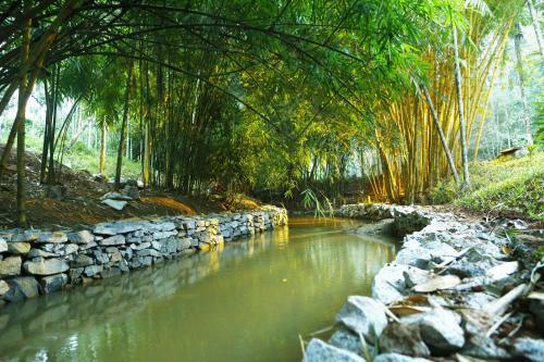 Hotel Bamboo Creek Resort