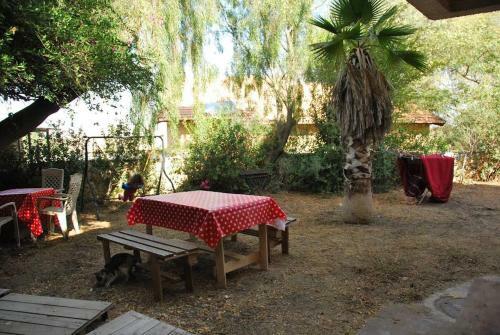 Hostal Lesanel - Guest House