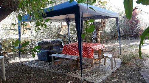 Hostal Lesanel - Guest House