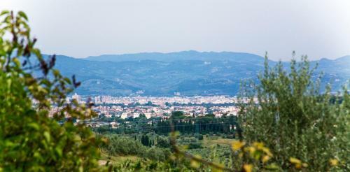 Apartamento La Frassinaia
