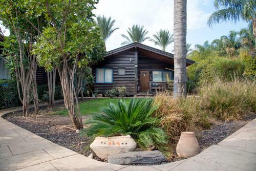 Lodge Pine Tree Cabin