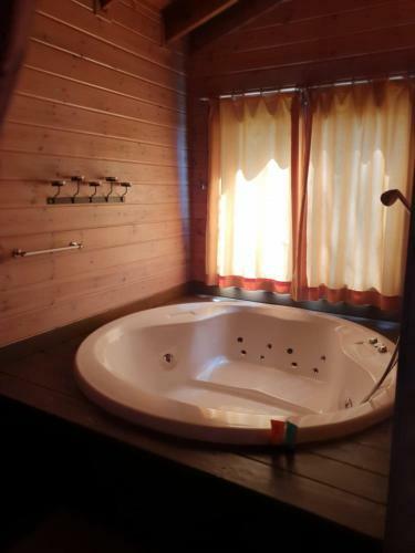 Lodge Pine Tree Cabin