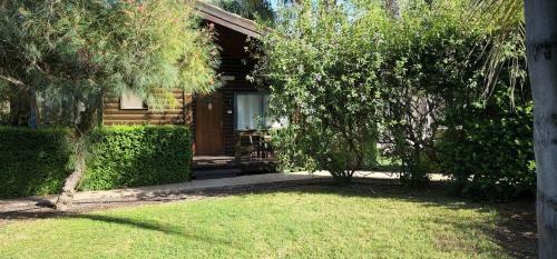 Lodge Pine Tree Cabin