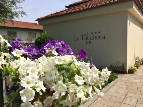 B&B La Falconera